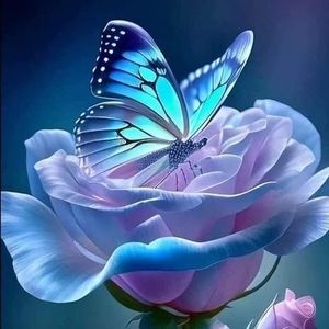 Meet your Posher, Shawnné